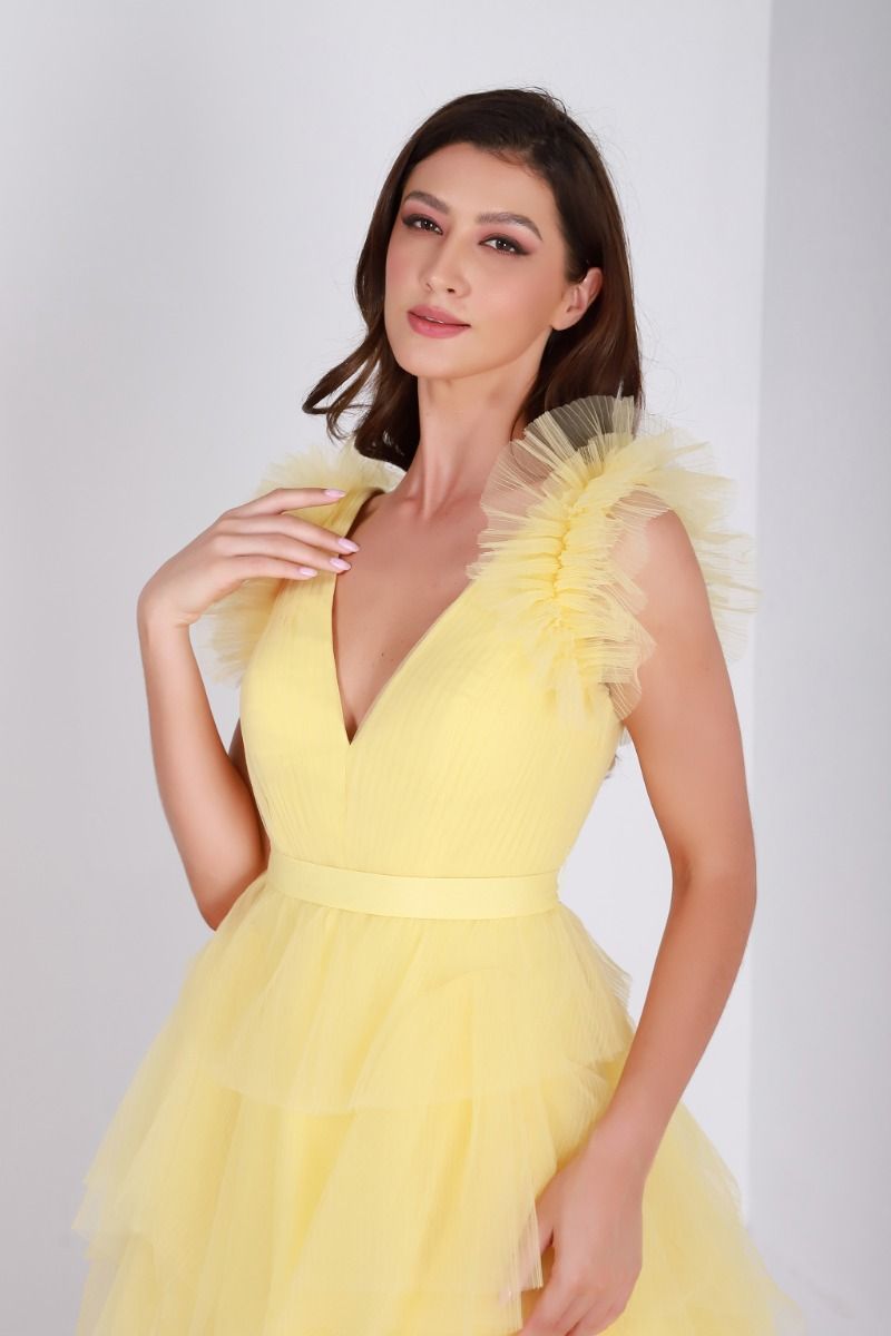 Ruffled V neck dress