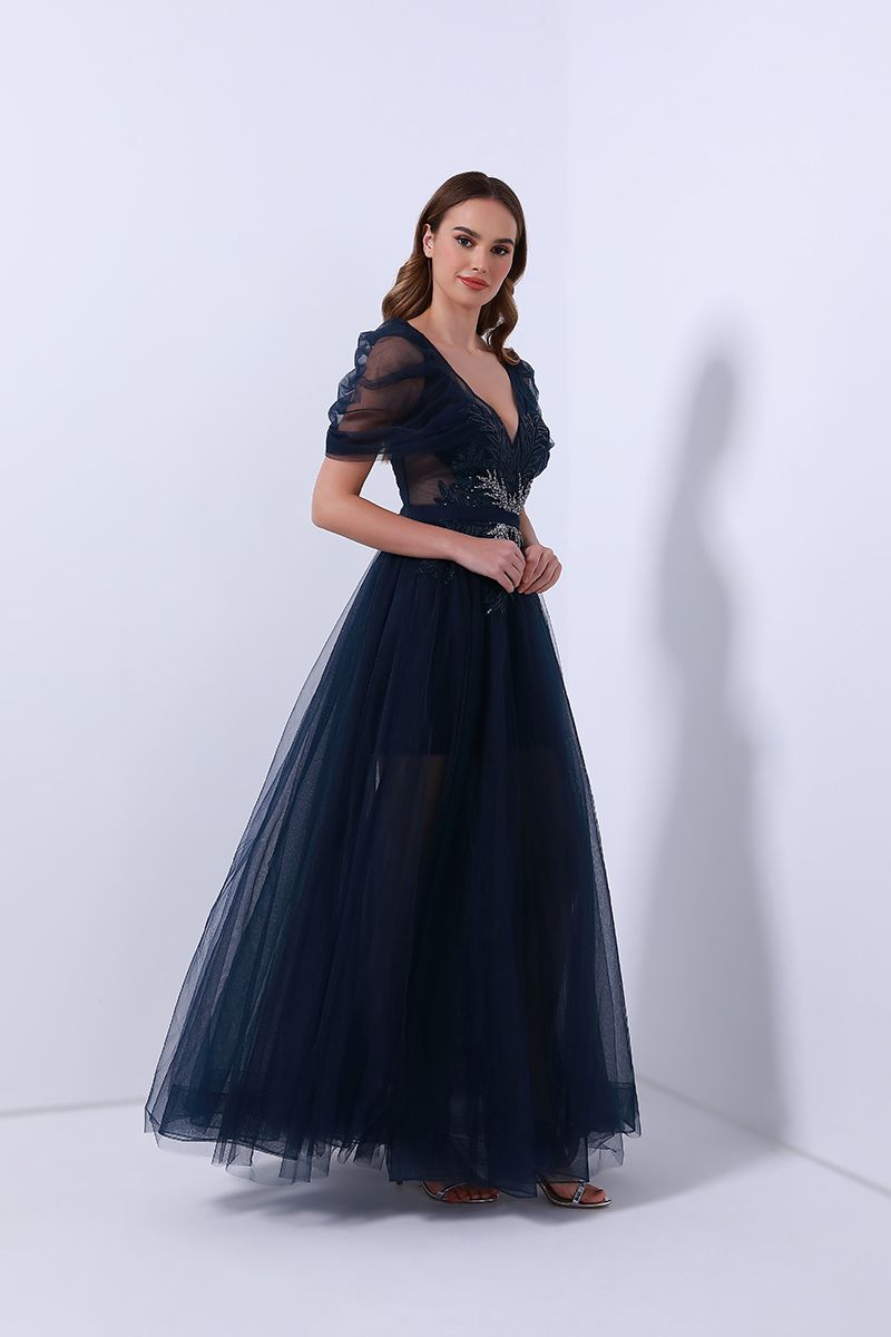 Sheered puffed sleeves dress