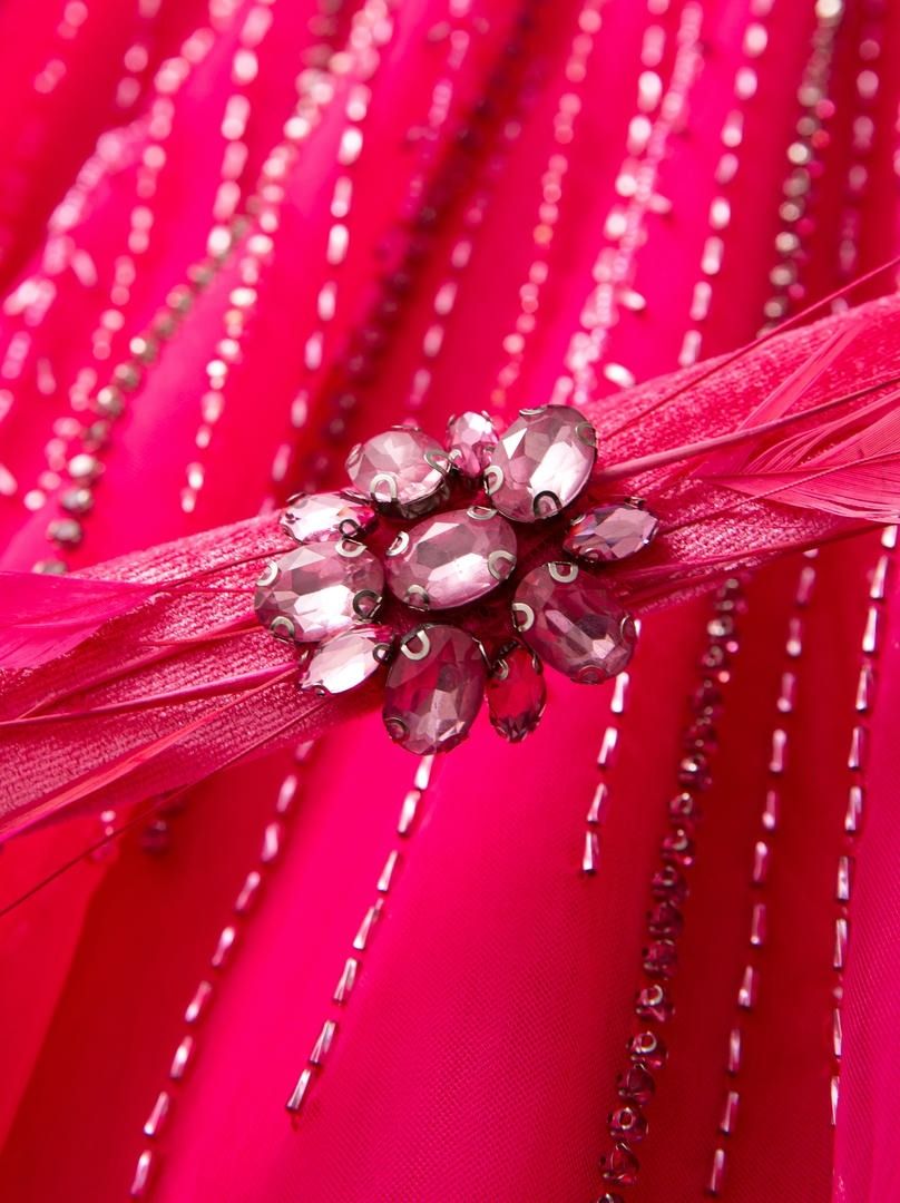 Fuchsia Rush