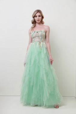 Embellished tulle dress